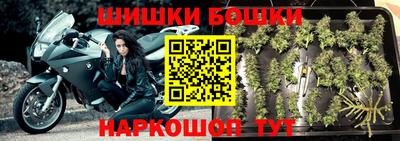 твердый Будённовск