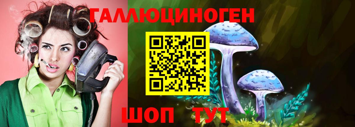 Псилоцибиновые грибы Cubensis Сальск