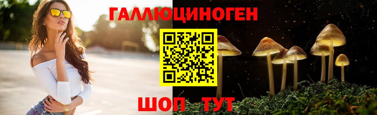 Сальск  Галлюциногенные грибы Psilocybine cubensis  Вход с VPN 